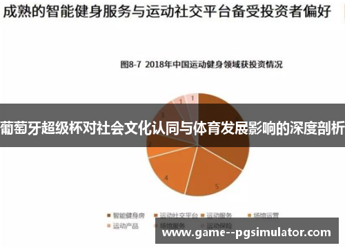 葡萄牙超级杯对社会文化认同与体育发展影响的深度剖析