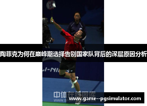 陶菲克为何在巅峰期选择告别国家队背后的深层原因分析