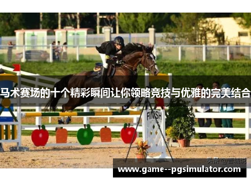 马术赛场的十个精彩瞬间让你领略竞技与优雅的完美结合