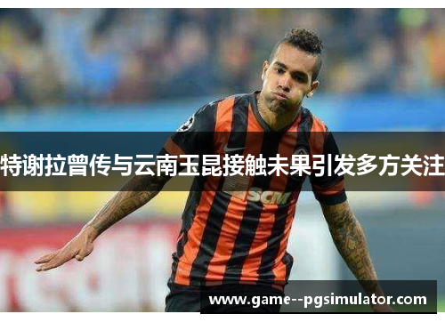 特谢拉曾传与云南玉昆接触未果引发多方关注