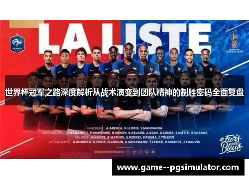 世界杯冠军之路深度解析从战术演变到团队精神的制胜密码全面复盘 世界杯冠军之路深度解析从战术演变到团队精神的制胜密码全面复盘